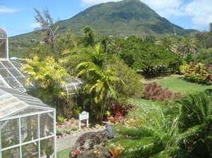 Nevis Botanical gardens 2